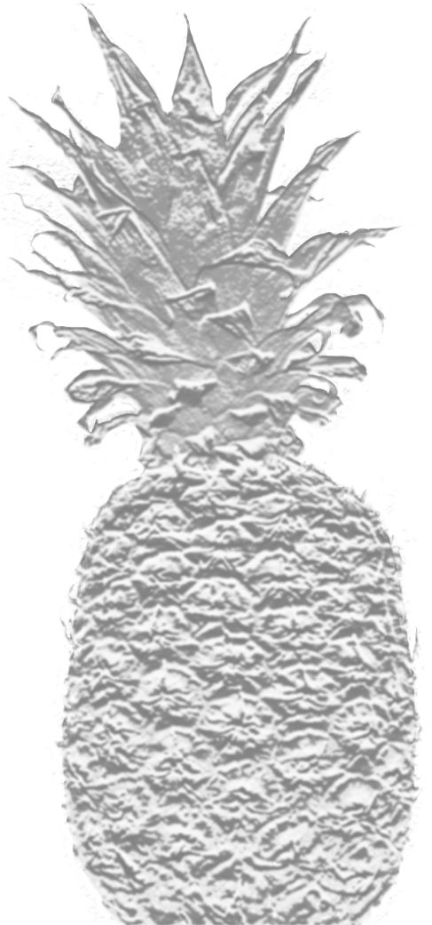 Pineapple Logo - Logo (500x1072), Png Download