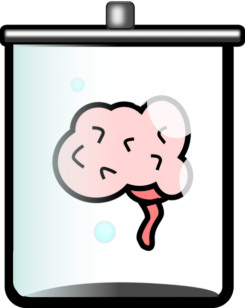 Brain In A Jar Png (500x630), Png Download