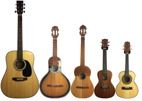 Do You Like The Cuatro, Bandola Llanera, Ukulele Or - Acoustic Guitar (500x500), Png Download