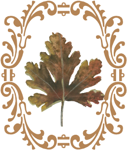 Leaf Flourish - Treasure Of The Humble By Maeterlinck Maurice (519x346), Png Download
