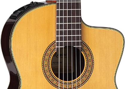 Tc132sc B - Takamine Tc132sc (600x298), Png Download