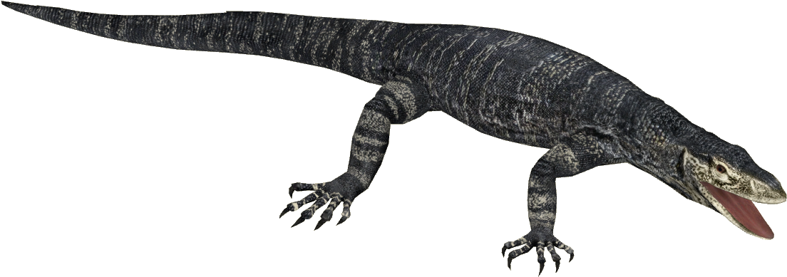 Lace Monitor - Monitor Lizard From Zoo Tycoon 3 (1103x1103), Png Download