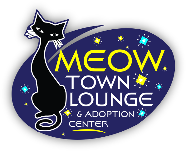 Meow Town Lounge - Pet Adoption (625x500), Png Download