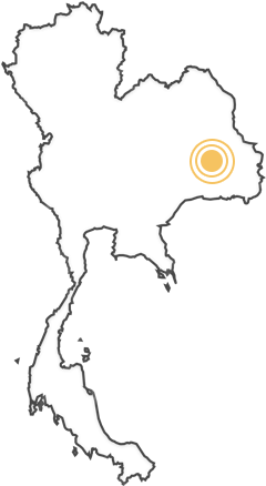 Thailand - โลโก้ พรรค ชาติ ไทย พัฒนา (854x488), Png Download