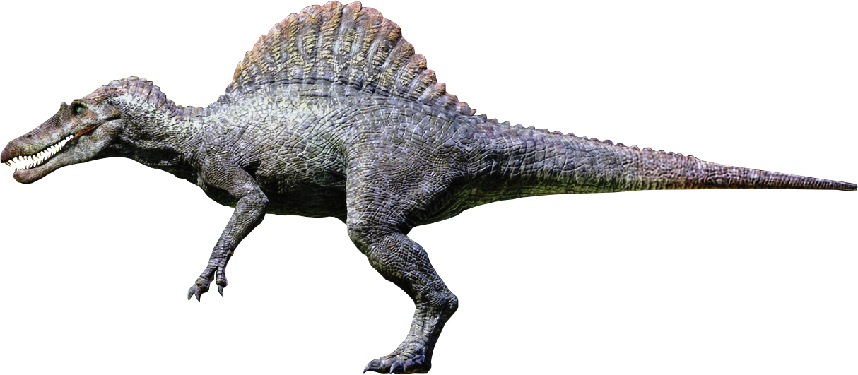 Spinosaurus Png Free Download - Spinosaurus Jurassic Park (1214x531), Png Download