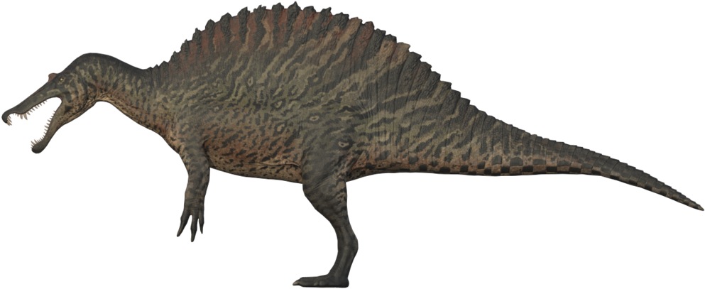 Spinosaurus The Isle - Isle Spinosaurus Skins Jurassic Park (1000x600), Png Download