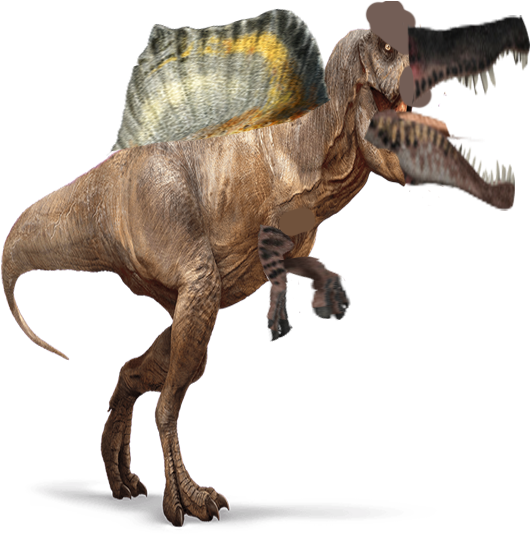 Spinosaurus Png Pic - Spinosaurus Rex Png (915x540), Png Download