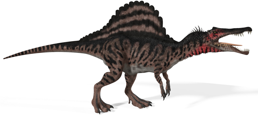 Spinosaurus - T Rex Spinosaurus Dinosaurs (900x435), Png Download