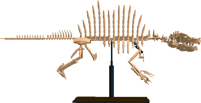 The Relic Collection - Skeleton (1366x606), Png Download