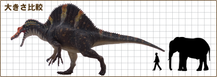 Download Spinosaurus Size Chart ティラノサウルス 人 比較 Png Image With No Background Pngkey Com Download Spinosaurus Size Chart ティラノサウルス 人 比較 Png Image With No Background Pngkey Com