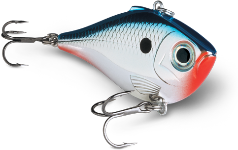 Rpr Thumb - Rapala Ultra Light Rippin' Rap - Chrome Blue (506x551), Png Download