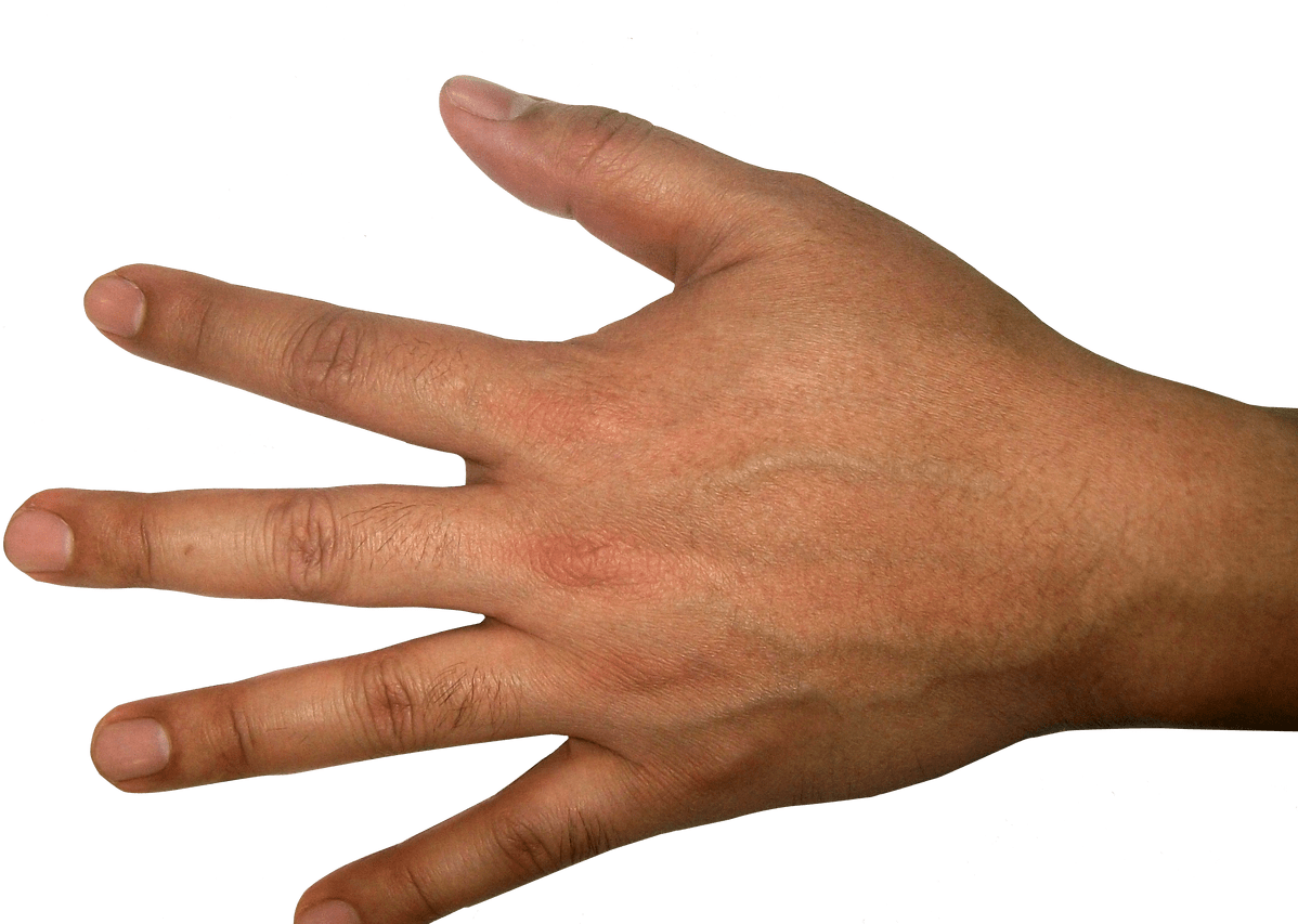 Five Finger Hand Png Image Purepng Free Transparent - Human Hand Reference (1368x855), Png Download