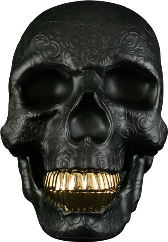 T10xl014-2 - Skull With Gold Teeth (562x587), Png Download