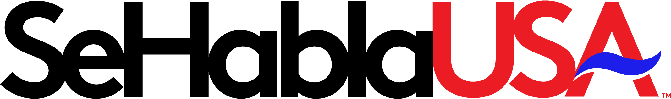 The Oscars This Past Sunday Were A Celebration Of Diversity - Se Habla Usa (2470x870), Png Download