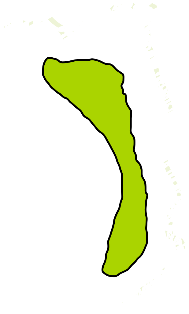 Isla De Aves En - Isla Aves (618x1024), Png Download