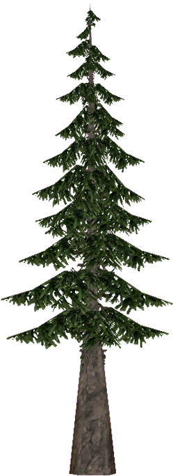 Cookpine Aves - Pre-lit Tree (700x704), Png Download