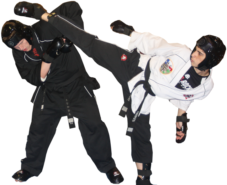 Taekwondo Plus (1100x733), Png Download