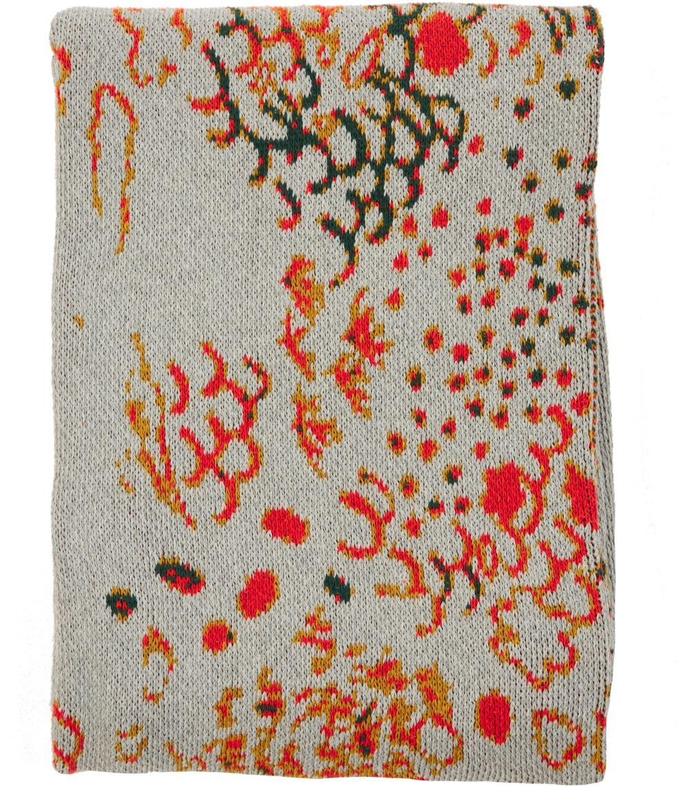 Web Studarus Hsb 170405 0161 (1000x1429), Png Download