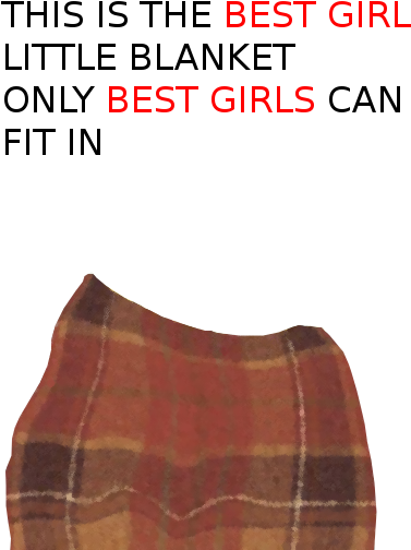 Best Girls Blankets - Tartan (425x516), Png Download