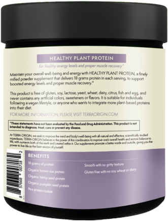 Previous - Next - Bee (456x480), Png Download