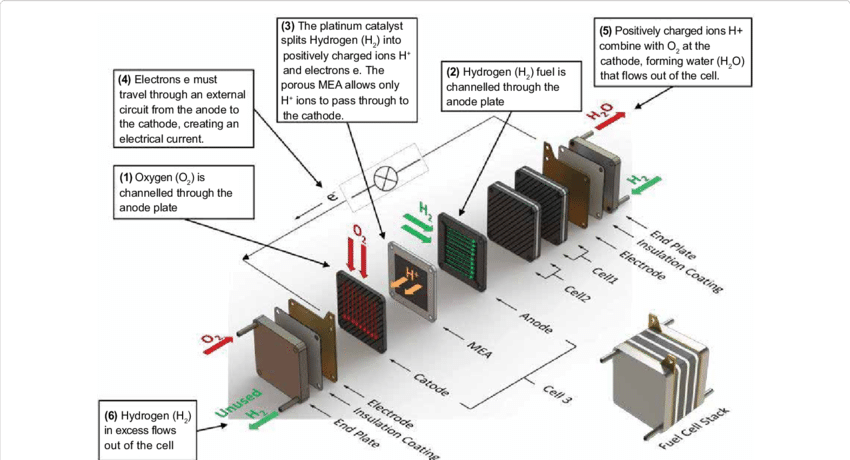 Layout And Operation Of A Typical Pem Fuel Cell Stack - Fuel Cell Stack Electron (850x460), Png Download