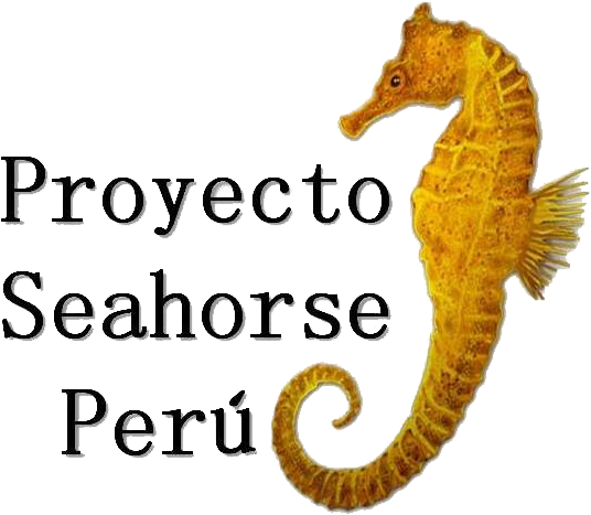 Facebook (577x577), Png Download