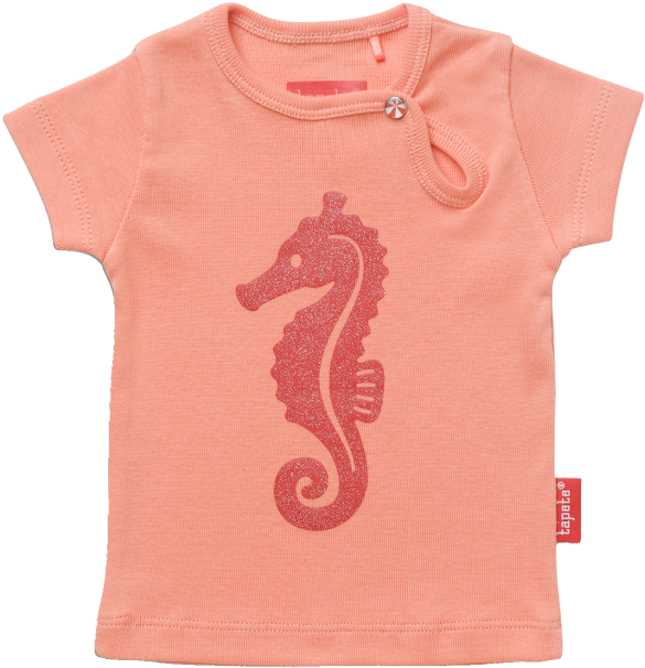 Tapete Ava Sea Horse - Northern Seahorse (960x720), Png Download