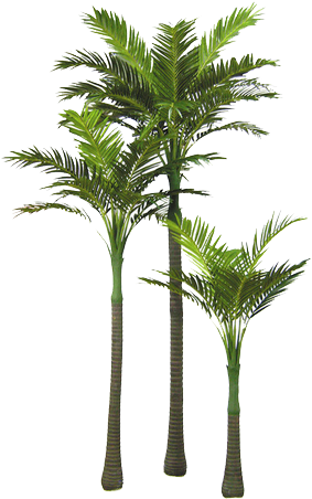 265 Images About Png On We Heart It - Miracles Of Coconut Oil Uses For Healthy Living And (314x464), Png Download