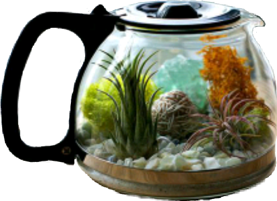 Sckitchenware Sticker - Terrarium Indir (547x396), Png Download