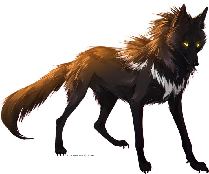 At By Dniseb - Nightingale Wolf (1024x666), Png Download