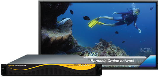 With The Latest Equipment Upgrade, Wcstv Is Poised - Underwater Diving (567x298), Png Download