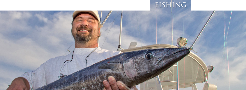 Jigging (1024x376), Png Download