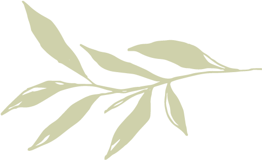 Jen Bij New Divider 01 - Portable Network Graphics (834x377), Png Download