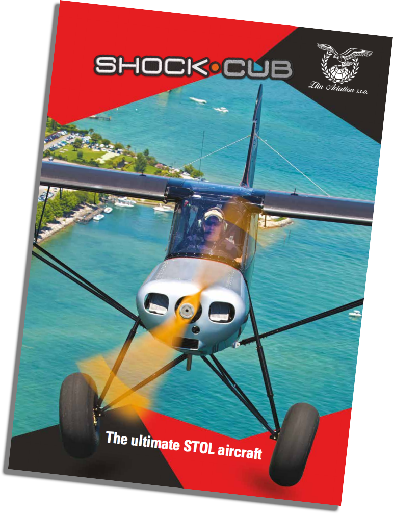 Download Shock Cub Brochure - Brochure (771x1008), Png Download
