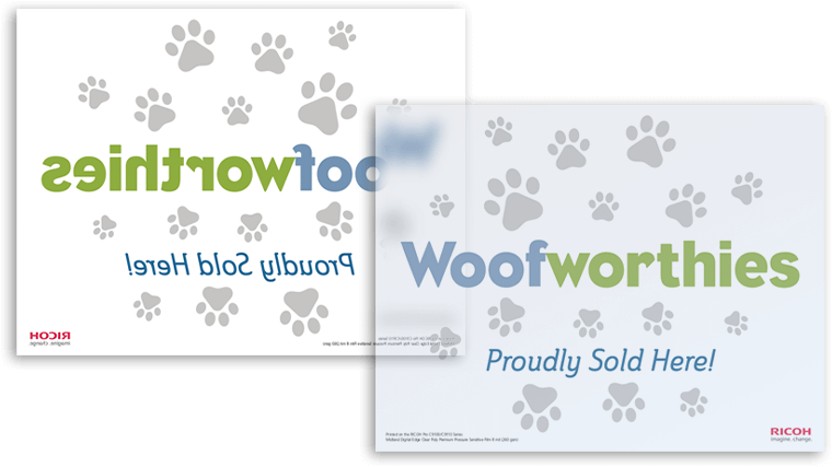 Window Clings - Window (800x450), Png Download