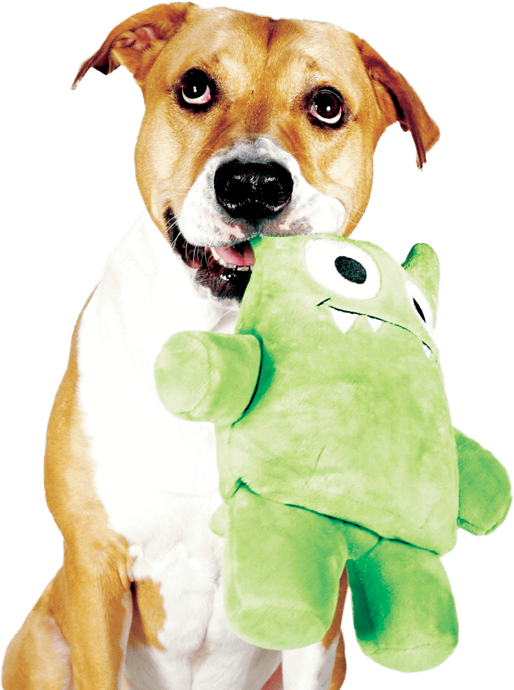 The Toy Your Dog Can Destroy Over And Over Againtm - Dog Toy (749x1005), Png Download