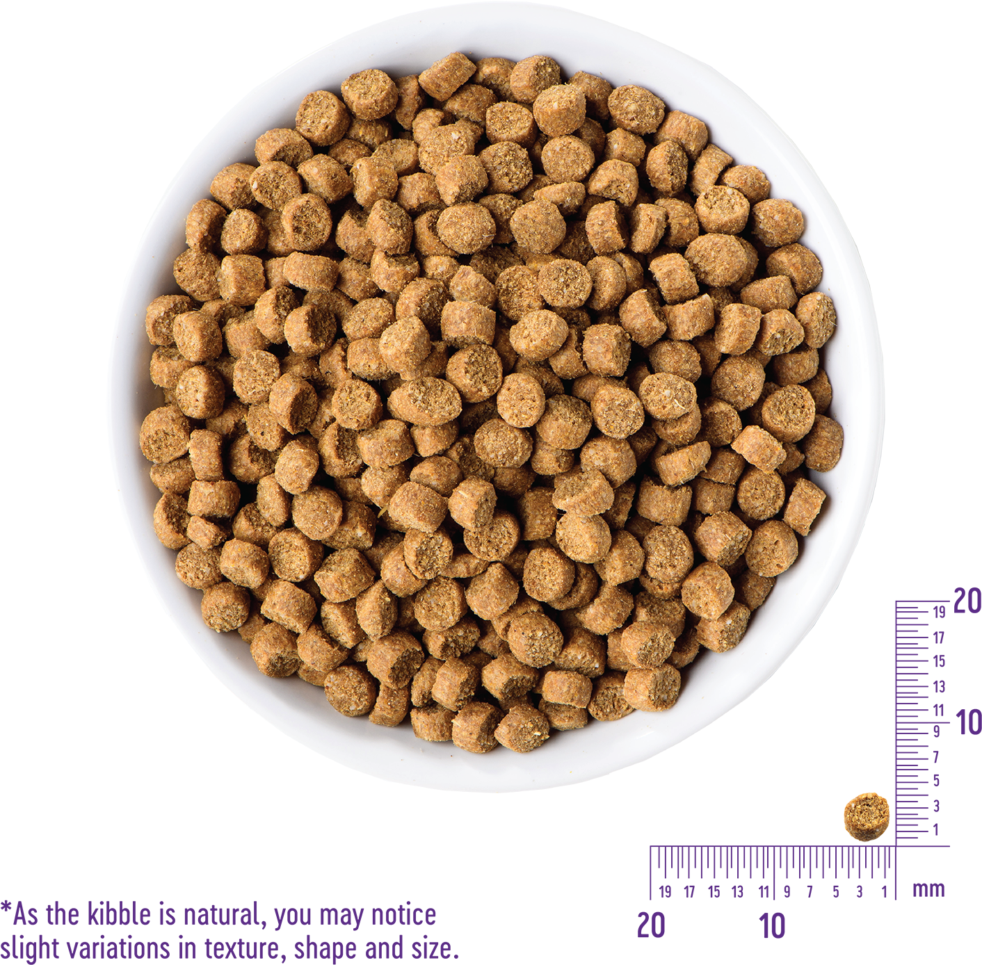 Complete Health Toy Breed - Pet Food (1500x1500), Png Download