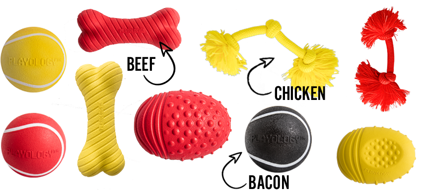Playology Scented Dog Toys - Playology Squeaky Chew Ball Dog Toy Scent (900x430), Png Download