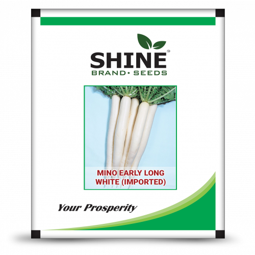 Mino Early Long White - Shine Brand Seeds (500x500), Png Download