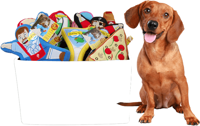 Dachshund Meadow Shower Curtain (880x500), Png Download