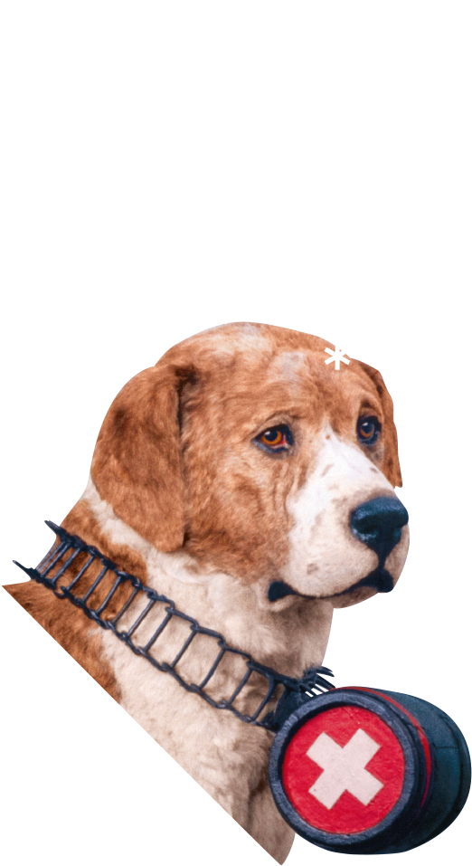 Naturhistorisches Museum Bern, Barry Der Legendäre - Barry (1000x1000), Png Download