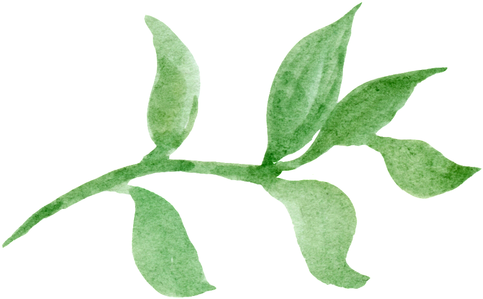 This Graphics Is Green Leaf Transparent About Vector,poster - Green (1024x669), Png Download