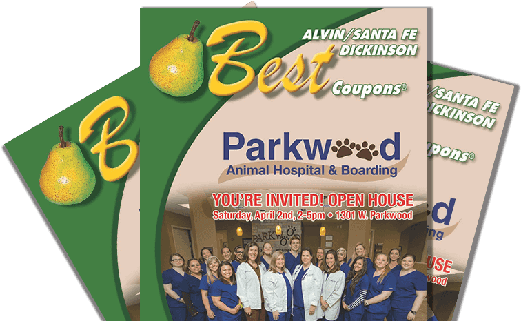 Alvin - Flyer (990x480), Png Download