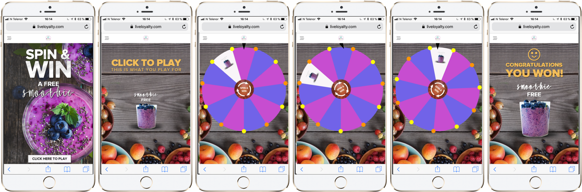 Distribute Wheel Of Fortune Probability Games To All - 30 Delicious Blueberry Smoothie Recipes: For Weight (1901x650), Png Download