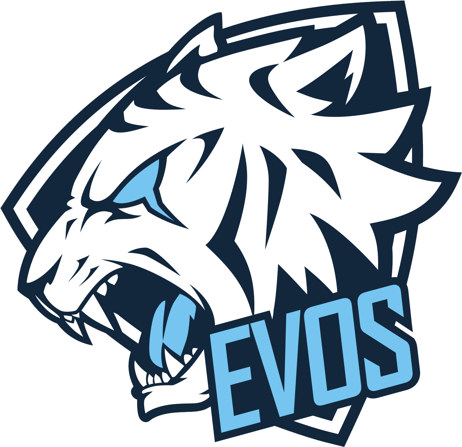 Evos - Evos Esport (2473x2473), Png Download