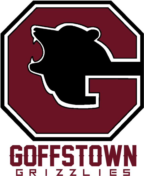 Grizzlies Logo Png - Football Title (1000x981), Png Download