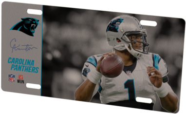 Carolina Panthers Cam Newton Metal Photo - Carolina Panthers Personalized Name (480x360), Png Download