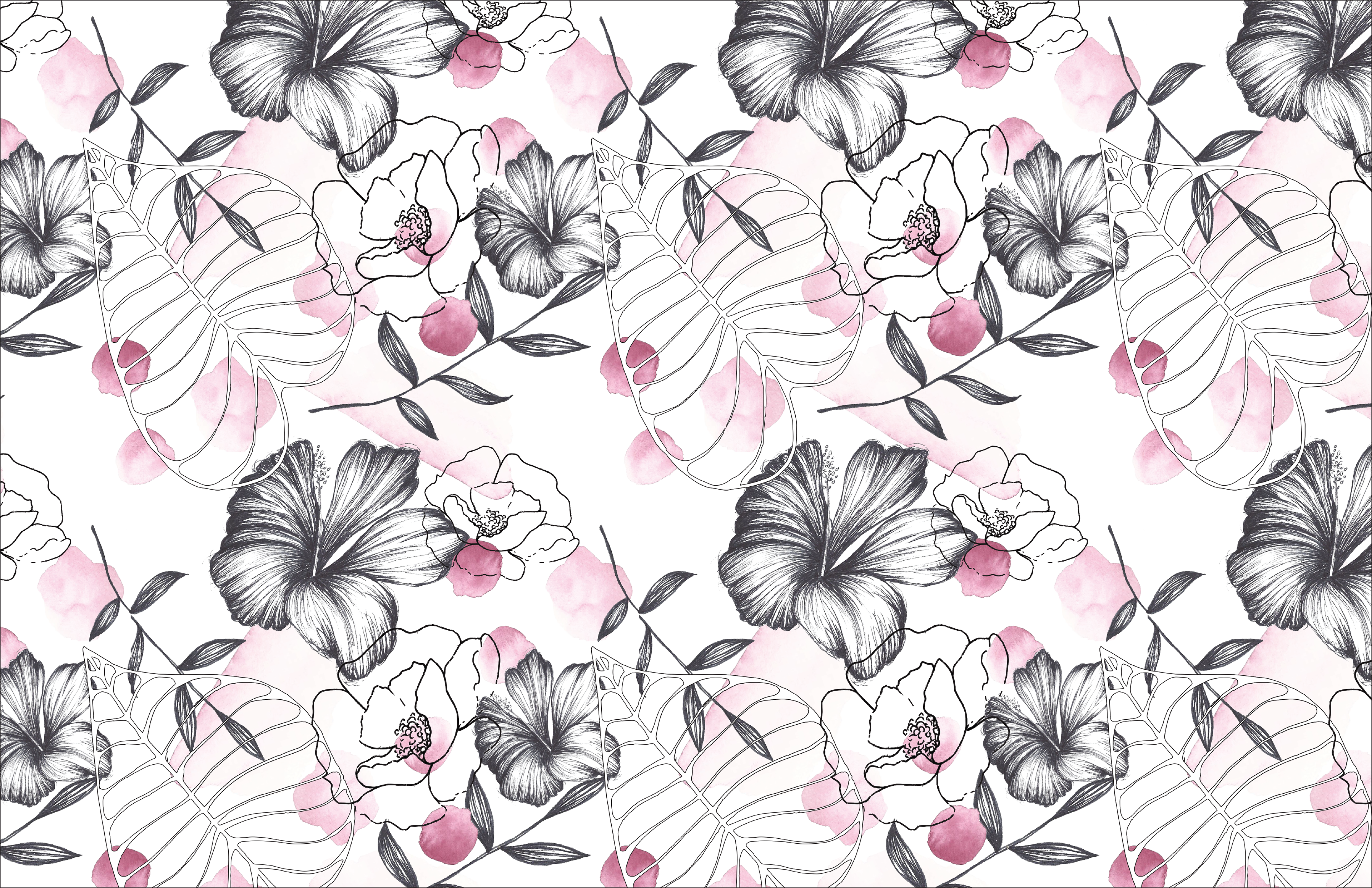 Ohana The J - Chinese Hibiscus (3840x2485), Png Download