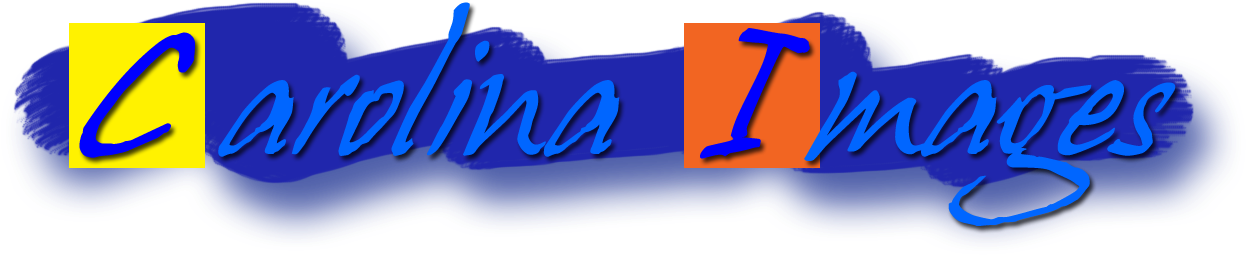 Home » Blue Ridge Solstice - North Carolina (1250x300), Png Download