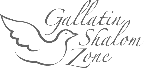 Shalom Zone - Gallatin Shalom Zone (600x284), Png Download